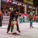 Бесплатные катки проекта «Московские сезоны»